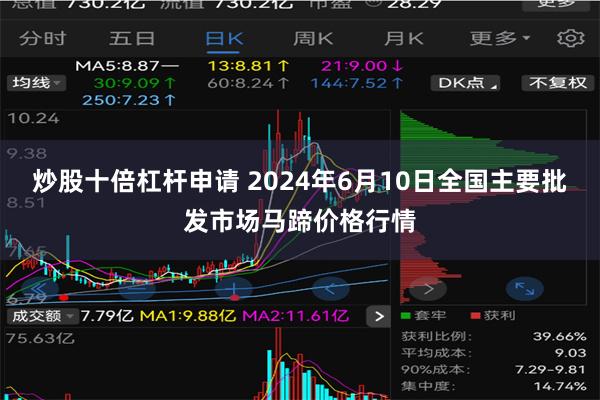 炒股十倍杠杆申请 2024年6月10日全国主要批发市场马蹄价格行情