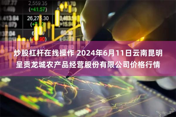 炒股杠杆在线操作 2024年6月11日云南昆明呈贡龙城农产品经营股份有限公司价格行情