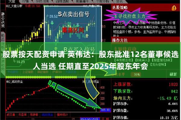 股票按天配资申请 英伟达：股东批准12名董事候选人当选 任期直至2025年股东年会