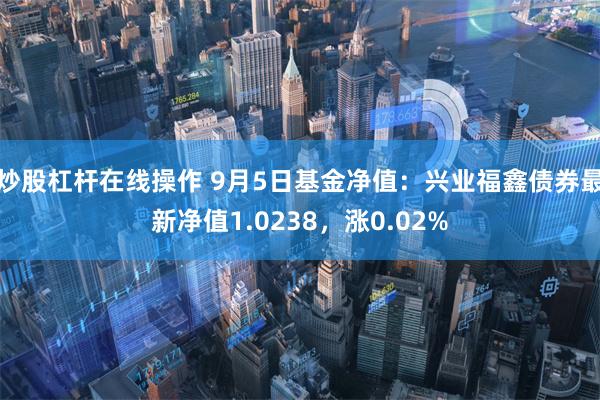 炒股杠杆在线操作 9月5日基金净值：兴业福鑫债券最新净值1.0238，涨0.02%