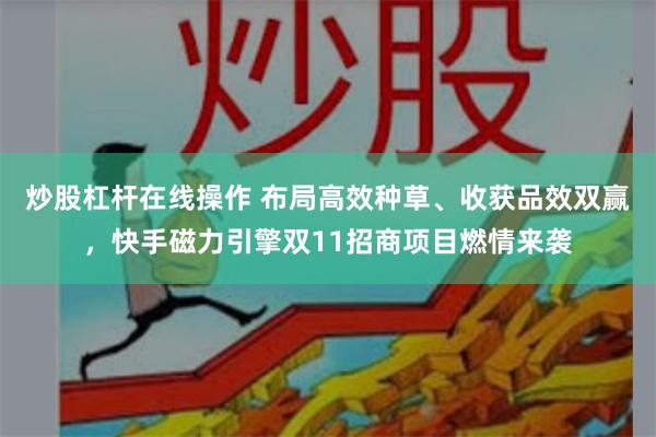 炒股杠杆在线操作 布局高效种草、收获品效双赢，快手磁力引擎双11招商项目燃情来袭