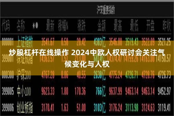 炒股杠杆在线操作 2024中欧人权研讨会关注气候变化与人权
