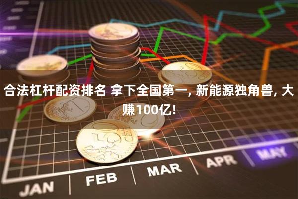 合法杠杆配资排名 拿下全国第一, 新能源独角兽, 大赚100亿!