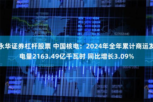 永华证券杠杆股票 中国核电：2024年全年累计商运发电量2163.49亿千瓦时 同比增长3.09%