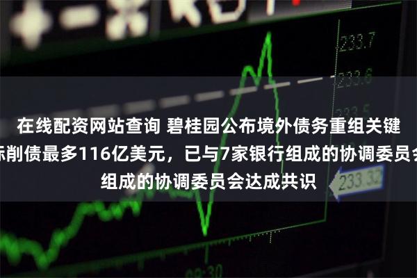 在线配资网站查询 碧桂园公布境外债务重组关键条款:目标削债最多116亿美元,已与7家银行组成的协调委员会达成共识