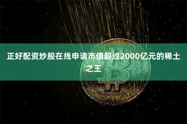 正好配资炒股在线申请市值超过2000亿元的稀土之王
