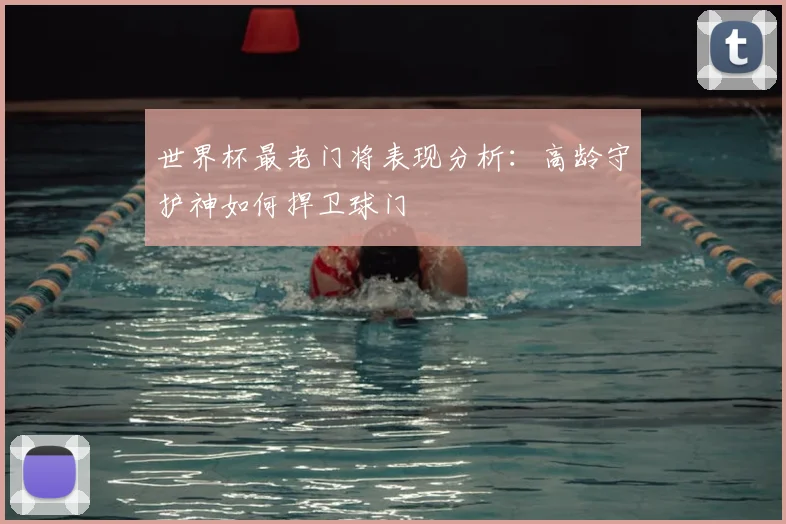 世界杯最老门将表现分析：高龄守护神如何捍卫球门
