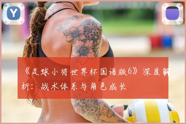 《足球小将世界杯国语版6》深度解析：战术体系与角色成长