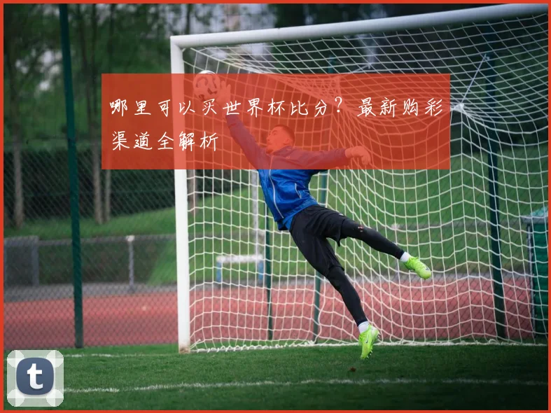 哪里可以买世界杯比分？最新购彩渠道全解析