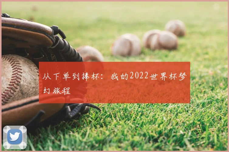 从下单到捧杯：我的2022世界杯梦幻旅程
