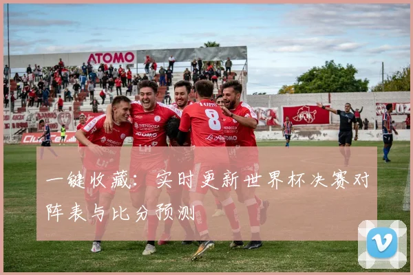 一键收藏：实时更新世界杯决赛对阵表与比分预测