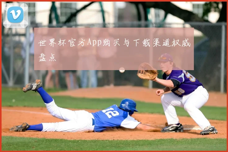 世界杯官方App购买与下载渠道权威盘点