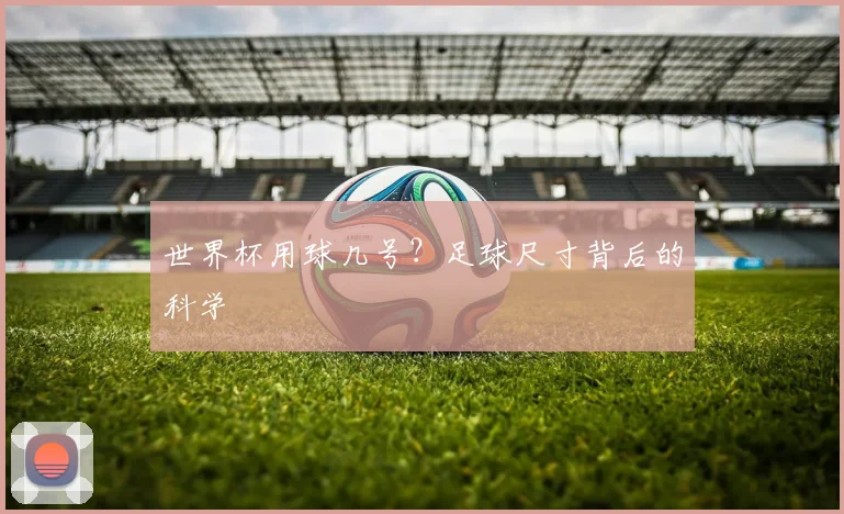 世界杯用球几号？足球尺寸背后的科学