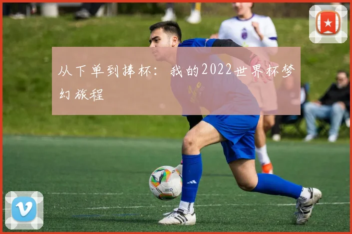 从下单到捧杯：我的2022世界杯梦幻旅程