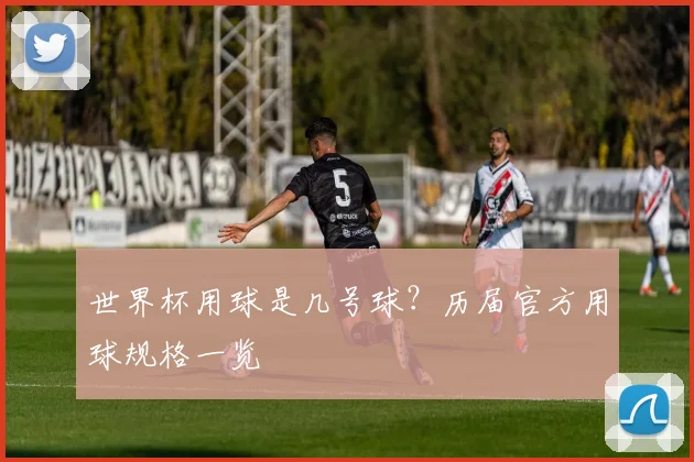 世界杯用球是几号球？历届官方用球规格一览