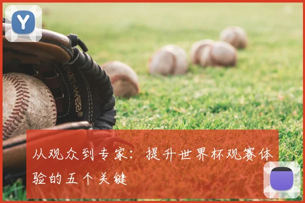 从观众到专家：提升世界杯观赛体验的五个关键