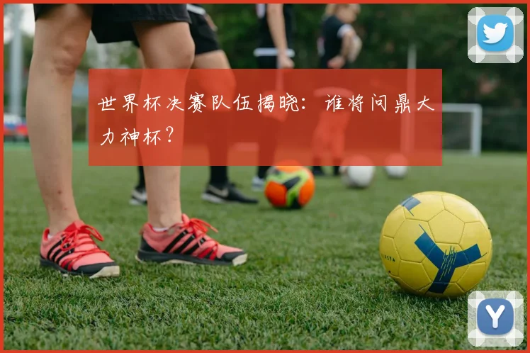 世界杯决赛队伍揭晓：谁将问鼎大力神杯？