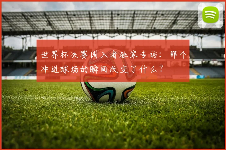 世界杯决赛闯入者独家专访：那个冲进球场的瞬间改变了什么？